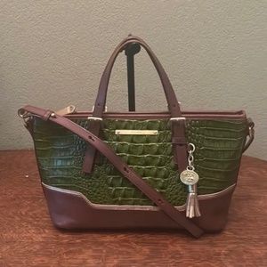 Brahmin mini Asher Green Croc